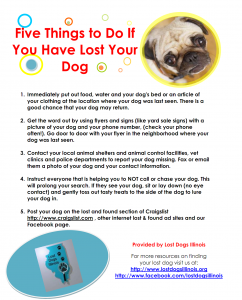 5thingslost