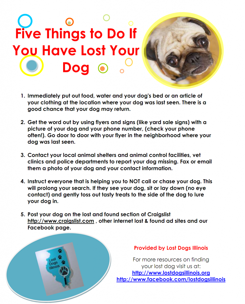 5thingslost