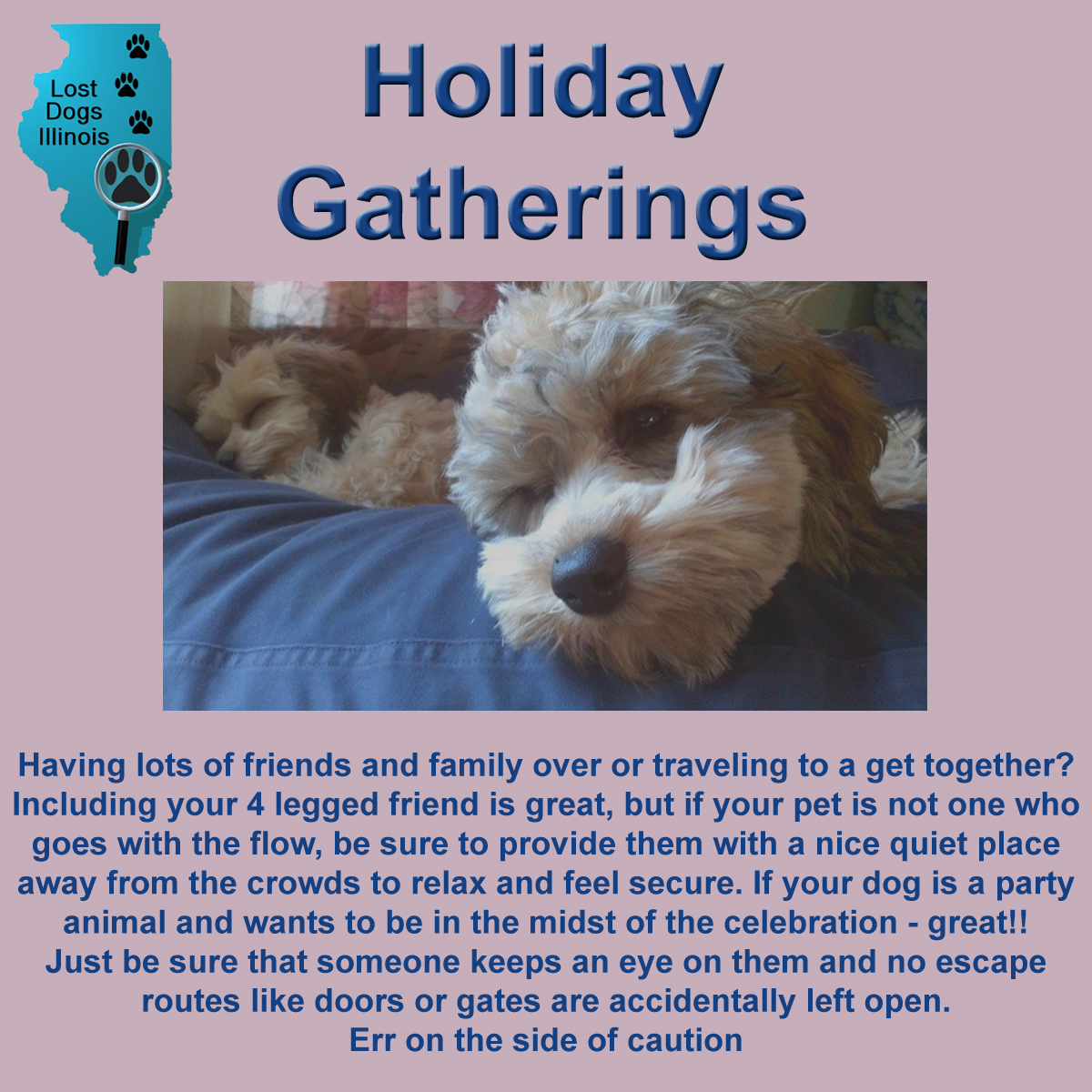 Holiday Gathering