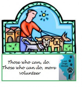 Volunteer_Graphic