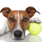 fotolia_41166972_xs