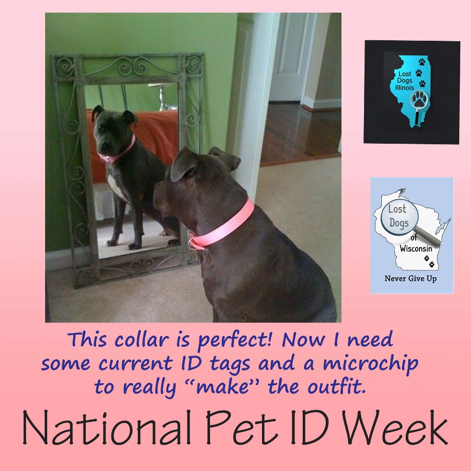National Pet ID Week